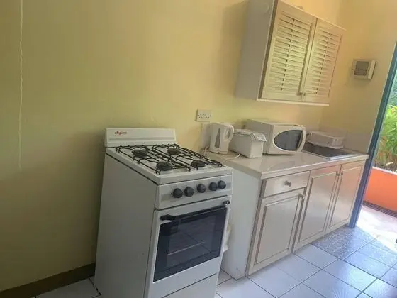 Basic Stüdyo, 1 Çift Kişilik Yatak, Sigara İçilmez, Küçük Mutfak