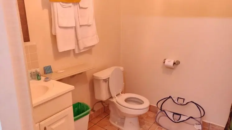 Luxury Apart Daire, 1 Yatak Odası, Küçük Mutfak, Avlu Manzaralı
