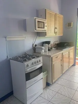 Standard Stüdyo, 1 Çift Kişilik Yatak, Sigara İçilmez, Küçük Mutfak
