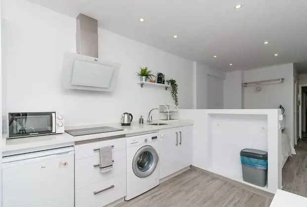 Apart Daire, 1 Yatak Odası