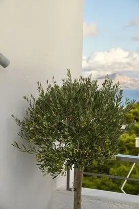 Apart Daire, Deniz Manzaralı