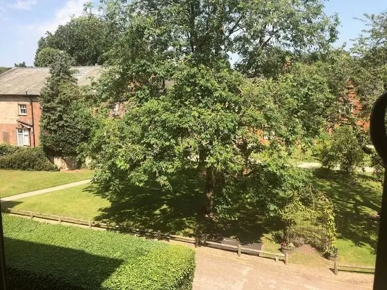Basic Tek Büyük Yataklı Oda (small, cosy, 3/4 bed)