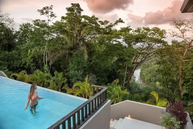 Signature Canopy Suite