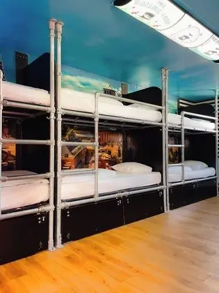 One Bed in a Twelve Bed Mixed Dorm With Shared Bathroom