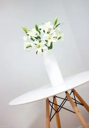 Apart Daire, 1 Çift Kişilik Yatak ve Çekyat, Sigara İçilmez