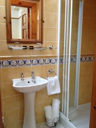 Standard Tek Büyük Yataklı Oda, 1 Çift Kişilik Yatak, Banyolu/Duşlu
