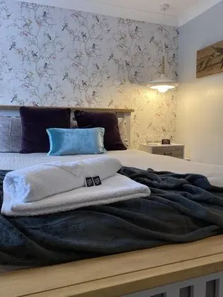 Deluxe Tek Büyük Yataklı Oda, Avlu Manzaralı (Silver Birch )