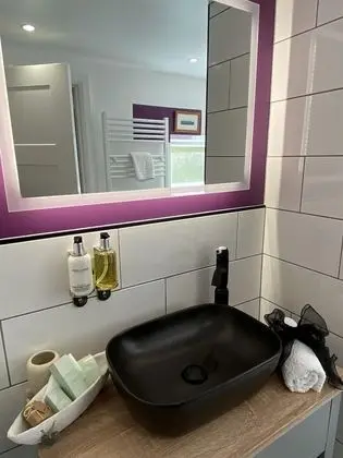 Deluxe Tek Büyük Yataklı Oda, Avlu Manzaralı (Silver Birch )