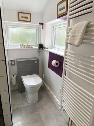 Deluxe Tek Büyük Yataklı Oda, Avlu Manzaralı (Silver Birch )
