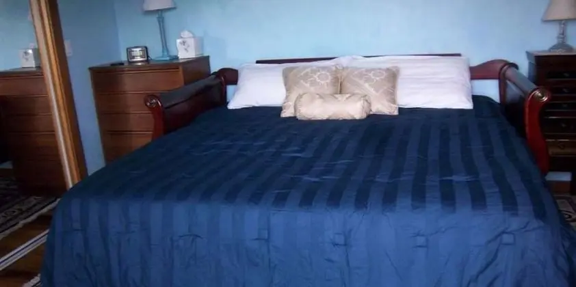 Standard Üç Kişilik Oda, Banyolu/Duşlu (Turquoise Room)