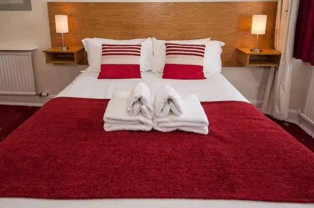 Superior Tek Büyük Yataklı Oda (Room 4)