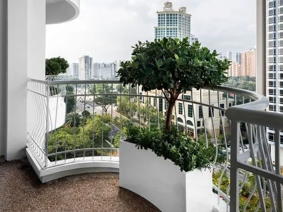 Deluxe İki Ayrı Yataklı Oda, Balkon