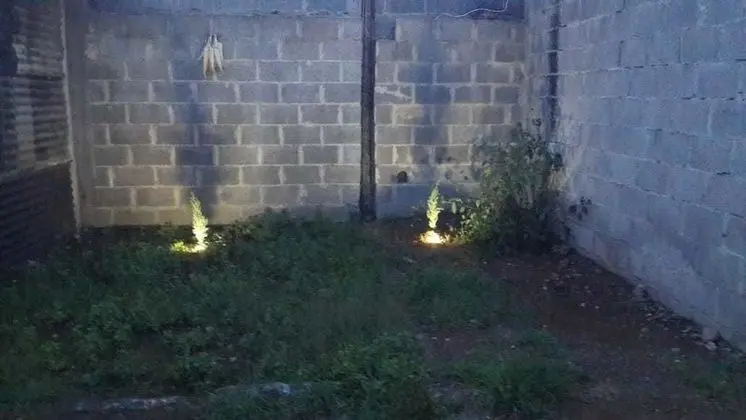 Economy Ortak Ranzalı Oda, Karma Ranzalı Oda