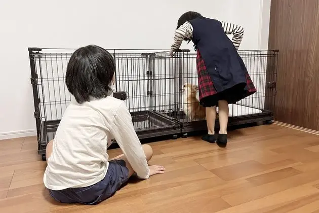 Daire, Birden Çok Yatak, Sigara İçilmez (2 Double beds, 2 Pets allowed)