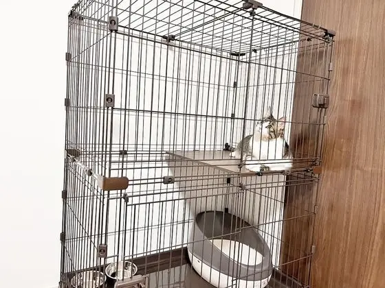 Daire, Birden Çok Yatak, Sigara İçilmez (2 Double beds, 2 Pets allowed)