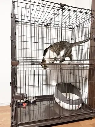 Daire, Birden Çok Yatak, Sigara İçilmez (2 Double beds, 2 Pets allowed)