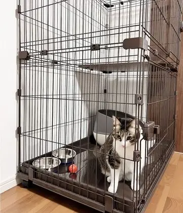 Daire, Birden Çok Yatak, Sigara İçilmez (2 Double beds, 2 Pets allowed)