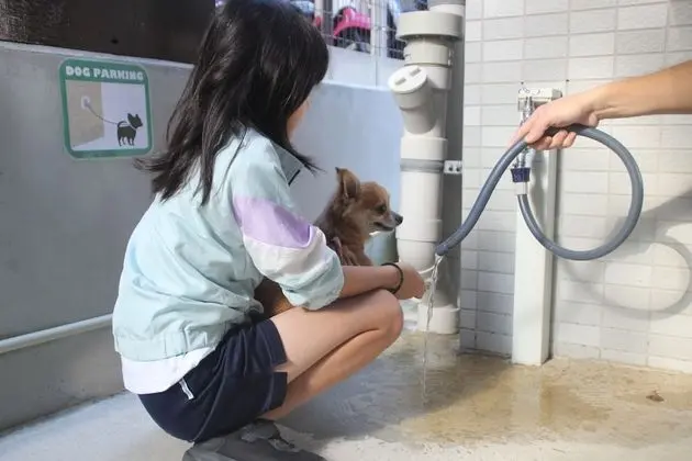 Daire, Birden Çok Yatak, Sigara İçilmez (2 Double beds, 2 Pets allowed)