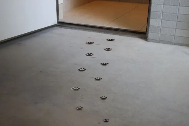 Daire, Birden Çok Yatak, Sigara İçilmez (2 Double beds, 2 Pets allowed)