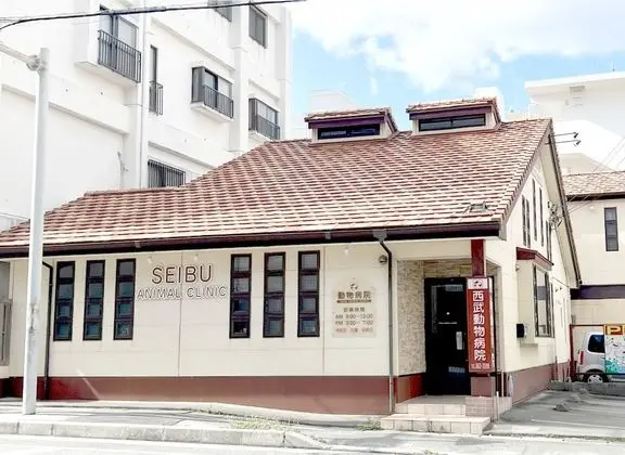 Daire, Birden Çok Yatak, Sigara İçilmez (2 Double beds, 2 Pets allowed)