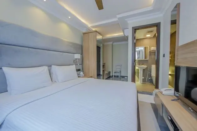 Standard Tek Büyük Yataklı Oda, Sigara İçilmez, Şehir Manzaralı