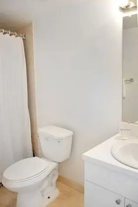 Çatı Katı (Loft), 1 Yatak Odası