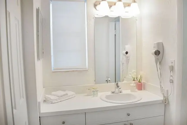 Çatı Katı (Loft), 1 Yatak Odası