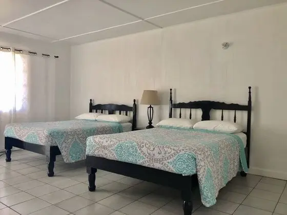 Standard Tek Büyük Yataklı Oda, 2 Çift Kişilik Yatak, Sigara İçilmez