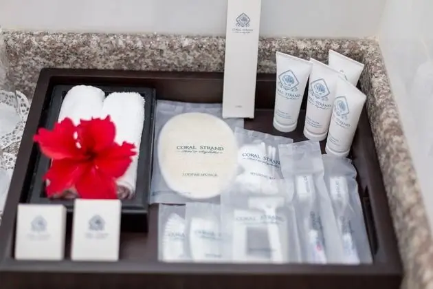 Çatı Katı Süiti (Penthouse)