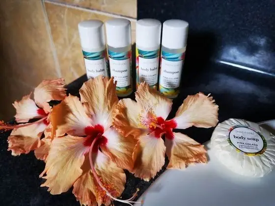 Deluxe Kulübe, Kısmi Deniz Manzaralı, Bahçeli