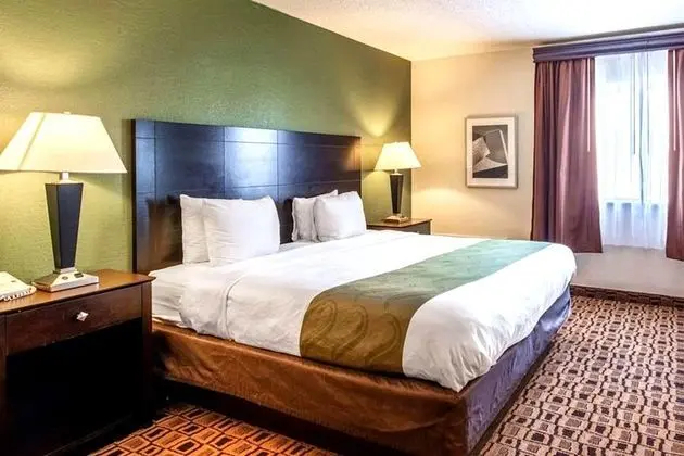 Deluxe1 King Suite with Sofa Bed Oversized Non Smoking