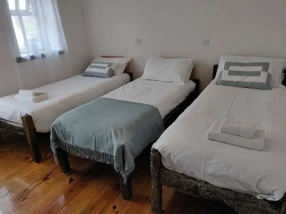 Traditional Tek Büyük veya İki Ayrı Yataklı Oda, 2 Tek Kişilik Yatak