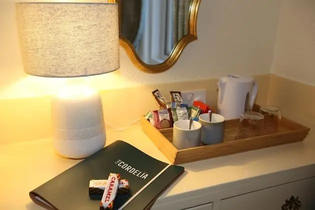 Deluxe İki Ayrı Yataklı Oda, Banyolu/Duşlu