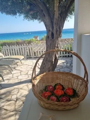 Apart Daire, 1 Yatak Odası, Sigara İçilebilir, Buzdolabı