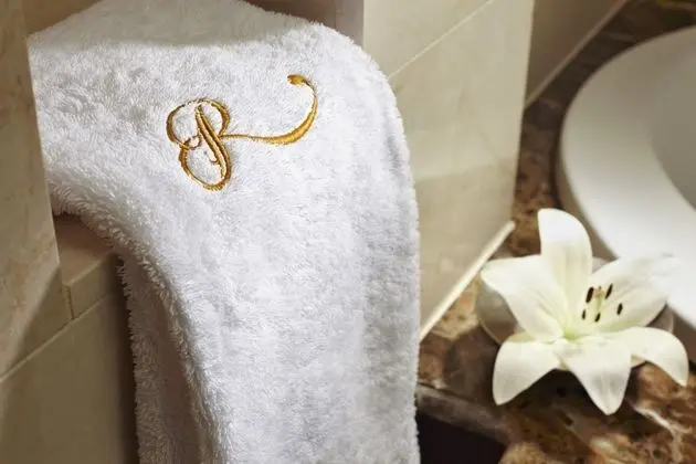 Deluxe Room with Spa Access