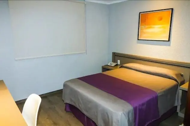 Superior Tek Büyük Yataklı Oda, 1 Çift Kişilik Yatak, Özel Banyo