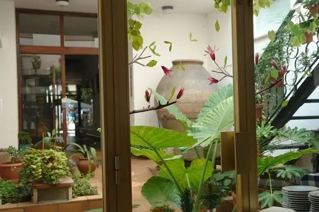 Standard Oda, Bahçe Manzaralı