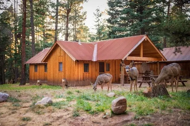 Bunkhouse