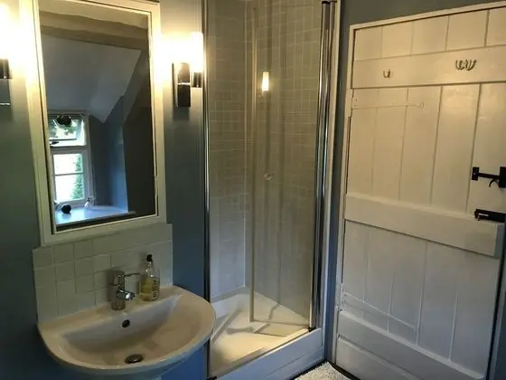 Deluxe Tek Büyük Yataklı Oda, Özel Banyo (Blue Room)