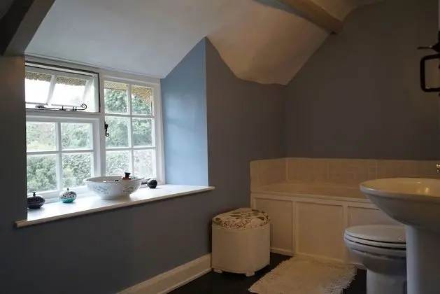 Deluxe Tek Büyük Yataklı Oda, Özel Banyo (Blue Room)