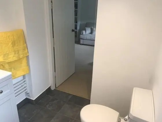 Superior Tek Büyük Yataklı Oda, Banyolu/Duşlu, Bahçe Manzaralı (The Green Room )