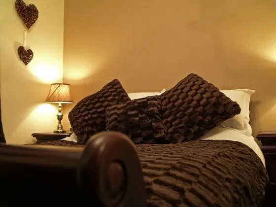Tek Büyük Yataklı Oda, Banyolu/Duşlu (Room 1)