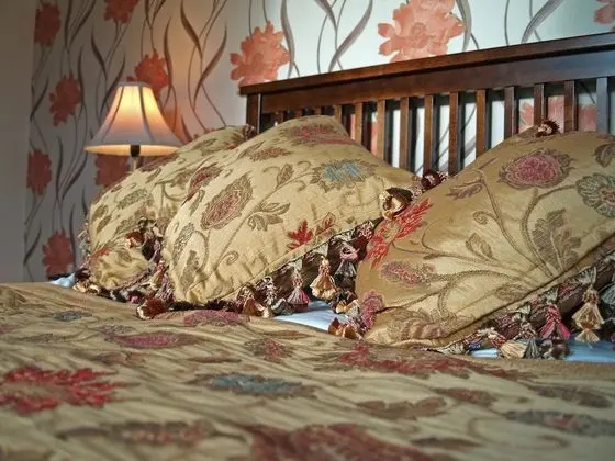Tek Büyük Yataklı Oda, Banyolu/Duşlu (Room 2)
