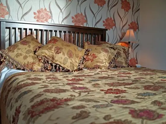 Tek Büyük Yataklı Oda, Banyolu/Duşlu (Room 2)