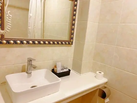 Superior İki Ayrı Yataklı Oda, Şehir Manzaralı