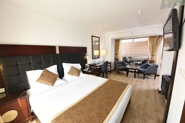 Luxury Süit, 1 En Büyük (King) Boy Yatak, Şehir Manzaralı