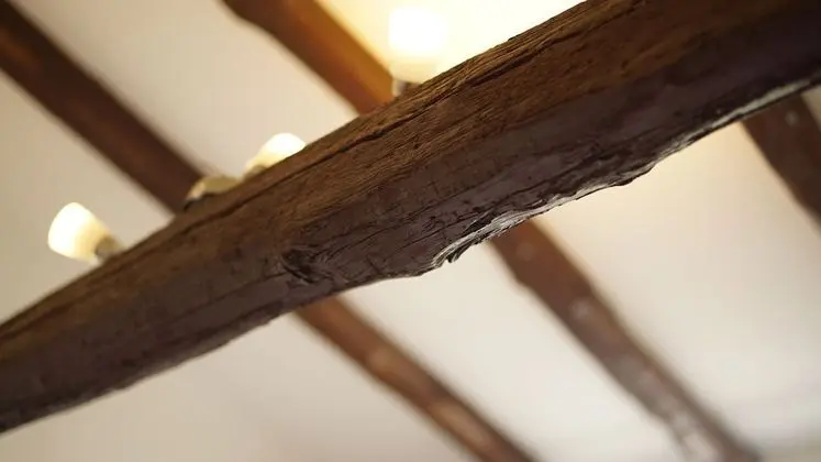 Comfort Üç Kişilik Oda (Villa Corsini)