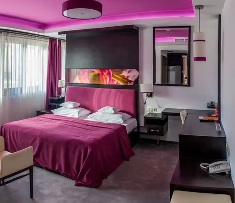 Standard Tek Büyük Yataklı Oda, 1 Yatak Odası