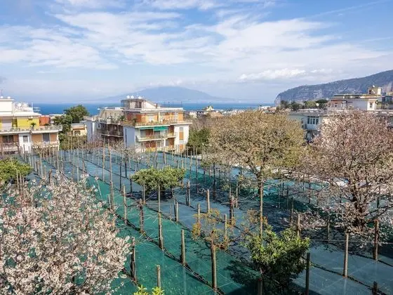 Apart Daire, Balkon, Deniz Manzaralı