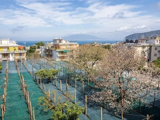 Apart Daire, Balkon, Deniz Manzaralı